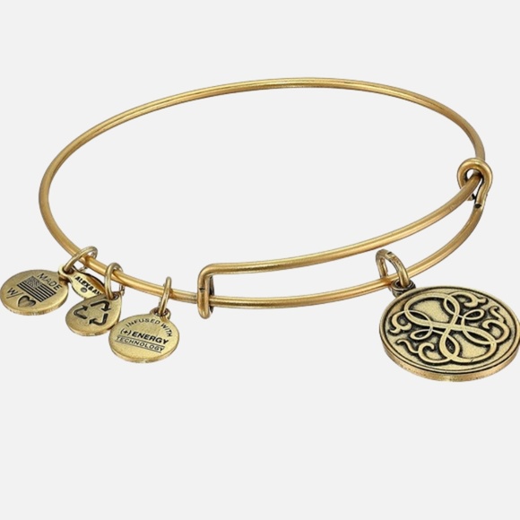Alex and Ani Bangle Bar "Path of Life" Rafaelian Gold-Tone Expandable Bracelet - Picture 1 of 11